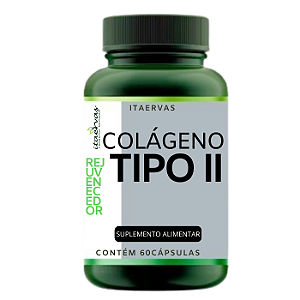 Colágeno Tipo 2 Rejuvenecedor Linha Premium 500mg Itaervas 60 Cápsulas