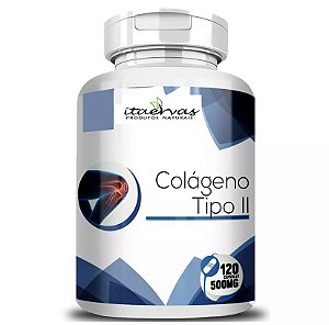 Colágeno Tipo 2 Não Desnaturado 40mg Saúde das Articulações 120 Cáps Itaervas