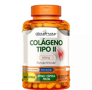 Colágeno Tipo 2 Não Desnaturado 40mg Saúde das Articulações 60 Cáps Itaervas