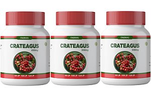 3x Crataegus 650mg 100 Cápsulas Itaervas