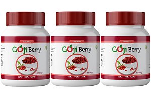 3x Farinha Seca com Goji Berry 500mg 120 Cápsulas Itaervas