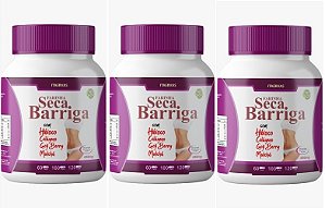 3x Seca Barriga Goji Berry Colágeno Hibisco Matchá 500mg 120 Cápsulas Itaervas