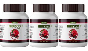 Hibisco Emagrecedor Natural 500mg 120 Cápsulas Itaervas