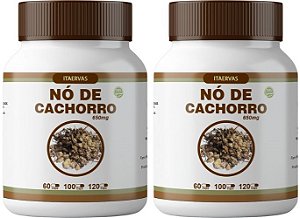 2x Nó de Cachorro Estimulante 650mg Original Itaervas