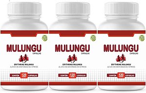 3x Calmante Natural Mulungu 500mg 120 Cápsulas Itaervas