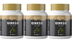 3x Ginkgo Biloba 500mg 120 Cápsulas Itaervas