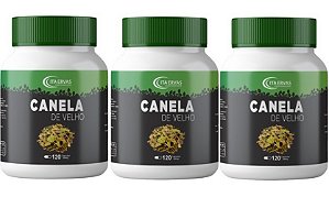 3x Canela de Velho 500mg 120 Cápsulas Itaervas Tamanho:Único;Sabor:Natural;Gênero:Unissex