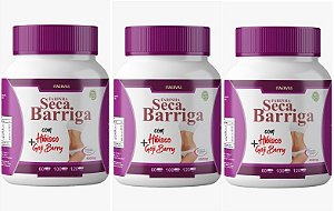 3x Farinha Seca Barriga Hibisco e Goji Berry 500mg 120 Cápsulas Itaervas