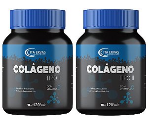 2x Colágeno Tipo 2 ui li 400mg Itaervas