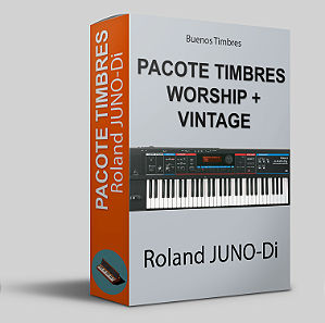 Pacote de timbres Worship + Vintage para Roland JUNO-Di