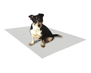 FOLHA PAPEL PIPIDOG LIMPO P/NECESSIDADE PACOTE 50X60CM 100UN