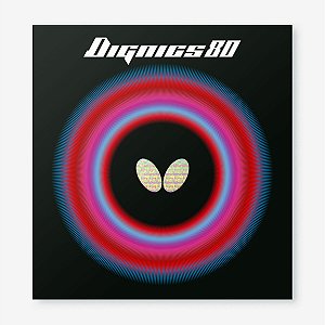 DIGNICS 80