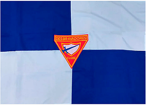 Bandeira Desbravador (s/franja)