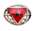 Distintivo de Líder Master Desbravadores
