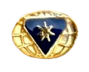 Distintivo de Líder Master Avançado Desbravadores