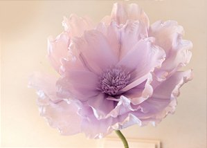 Flor de Serenata em Papel Crepom Italiano