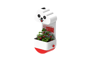 Vaso Chuvinha - Minha Primeira Plantinha Kids Vermelho - Cachorrinho