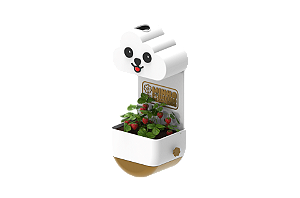 Vaso Chuvinha - Minha Primeira Plantinha Kids Dourado - Cachorrinho