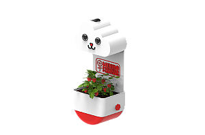 Vaso Chuvinha - Minha Primeira Plantinha Kids Vermelho - Gatinho