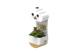Vaso Chuvinha - Minha Primeira Plantinha Kids Dourado - Gatinho