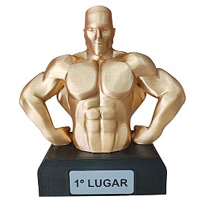 TROFEU FISICULTURISTA - 14 PCS