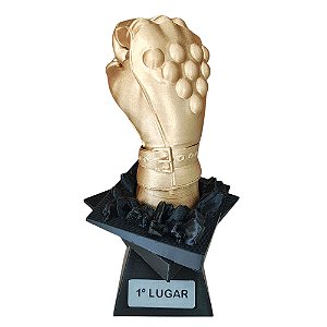 Troféu Jogos De Luta E Artes Marciais