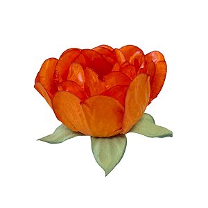 Forminha para Doces Finos - Bela Laranja - 30 unidades - Decora Doces - Rizzo