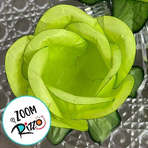 Forminha para Doces Finos - Rainha Verde Limão Claro - 30 unidades - Decora Doces - Rizzo