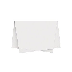 Papel de Seda - 50x70cm - Branco - 10 unidades - Rizzo