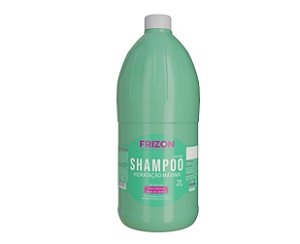 Shampoo Frizon Galão Hidratação Máxima 2 Litros