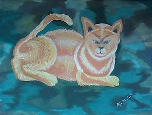 Gato