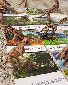 Miniaturas e flashcards de dinossauros