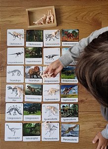 Miniaturas e flashcards de fósseis de dinossauros