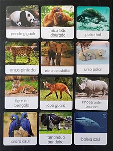 Flashcards de animais extintos e ameaçados de extinção