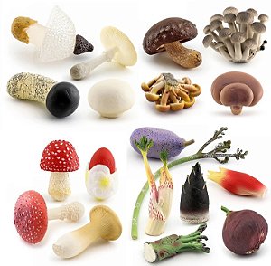 Miniaturas e flashcards Ciclo de vida fungos/cogumelos