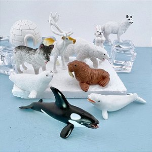 Miniaturas e flashcards animais do gelo / ártico