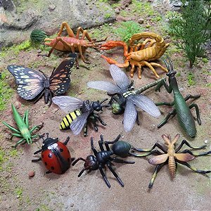 Miniaturas e flashcards insetos e pequenos animais do jardim