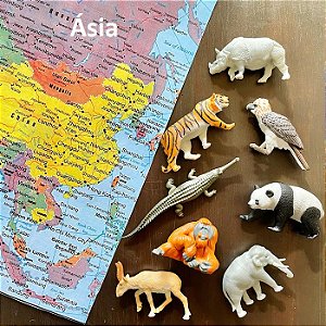 Miniaturas e flashcards animais dos continentes
