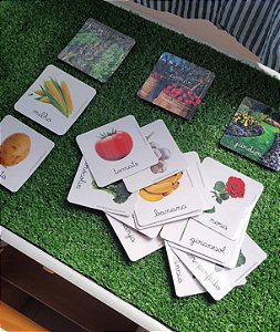 Flashcards classificação Horta, Pomar e Jardim