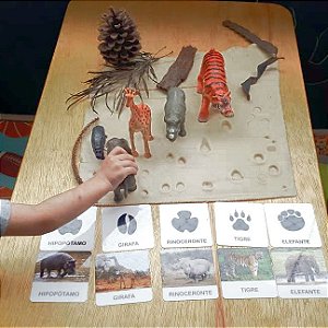 Flashcards Pegadas dos Animais