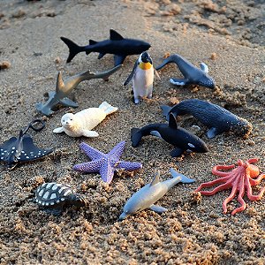Miniaturas e flashcards de peixes e outros animais marinhos