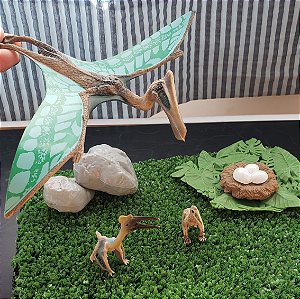 Miniaturas e flashcards Ciclo de vida dinossauros