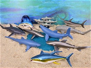 Miniaturas e flashcards de peixes das Zonas Pelágicas