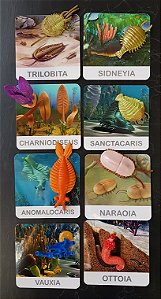 Miniaturas e flashcards Fauna Pré-histórica