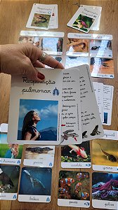 Kit flashcards e livro controle de erro Respiração dos Animais