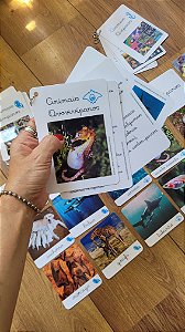 Kit flashcards e livro controle de erro Reprodução dos Animais