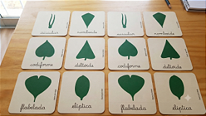 Cartões de 3 Partes de Nomenclatura – Gabinete de Botânica Montessori