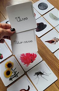 Flashcards classificação vivo x não-vivo