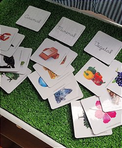 Flashcards classificação dos reinos Animal, Vegetal e Mineral