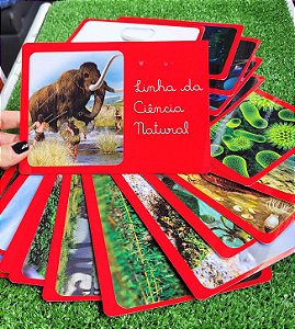 Linha de Ciências Naturais Vida na Terra | 1ª Grande Lição Montessori